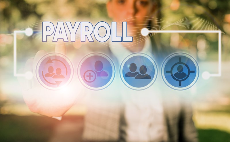 Annual payroll reporting chores